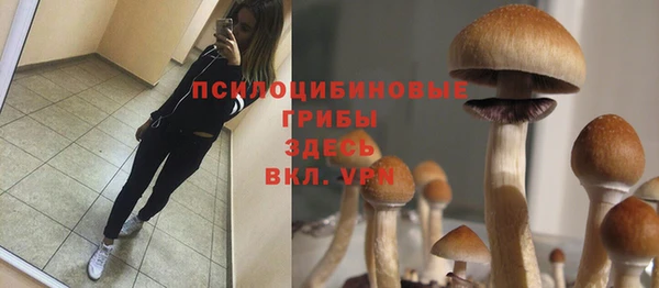 apvp Богородицк