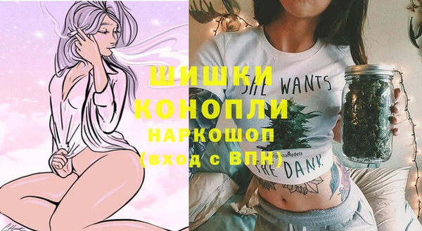 гашик Богданович