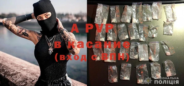 гашик Богданович