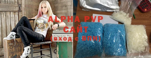 гашик Богданович