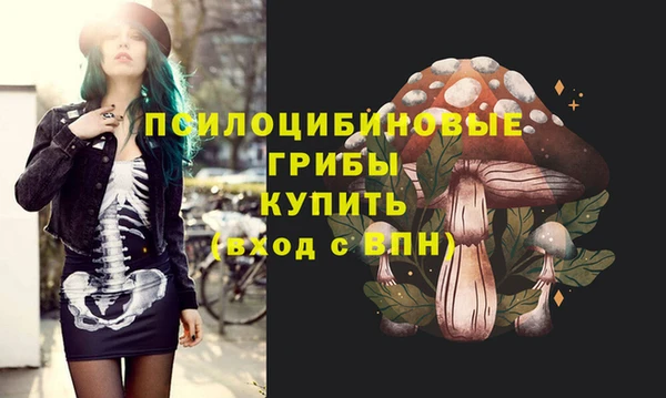 гашик Богданович