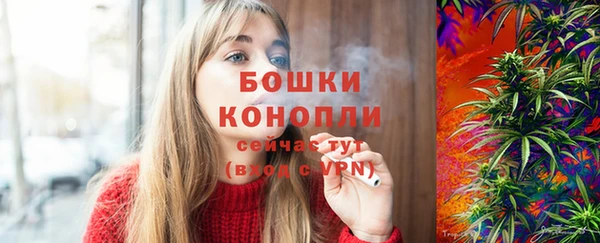 ECSTASY Богородск