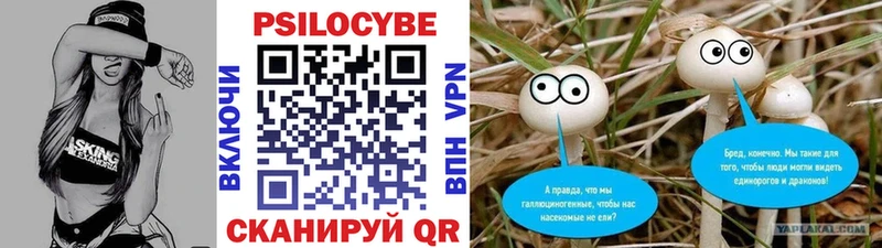 Купить где  Навашино  Псилоцибиновые грибы Psilocybine cubensis 